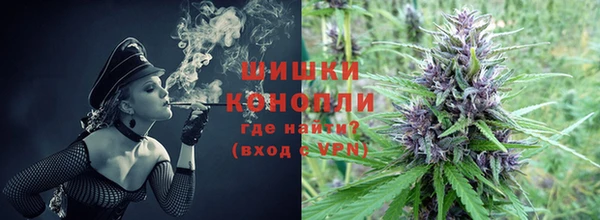 хмурый Михайловск