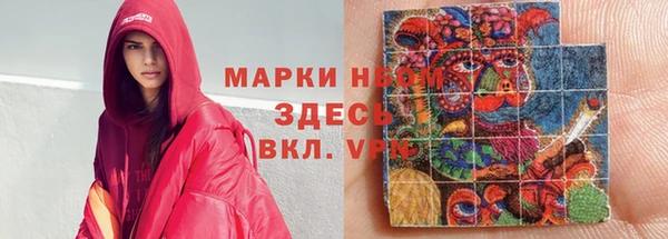 хмурый Михайловск