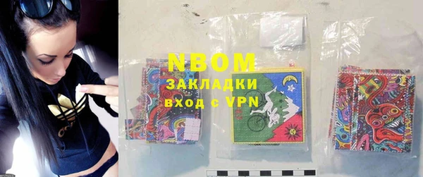 хмурый Михайловск