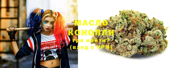 хмурый Михайловск