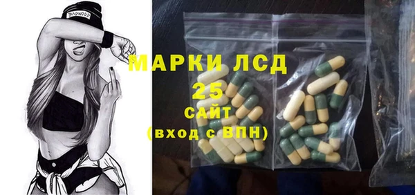 хмурый Михайловск